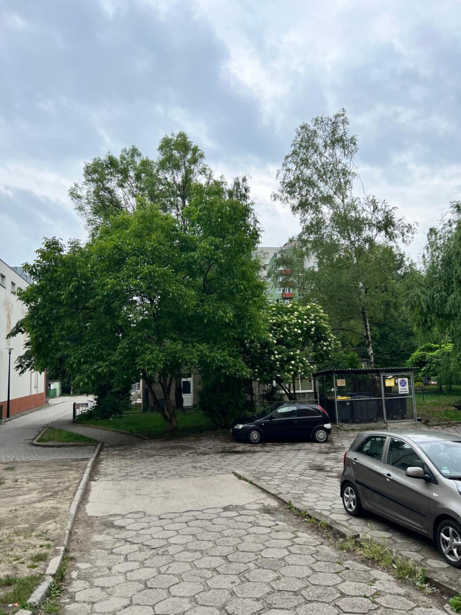 Nocleg Opole Kopernik Apartament Екстериор снимка